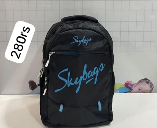 Skybags School Bag